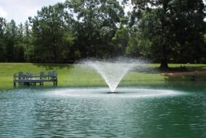 Top Considerations to make When Selecting a Floating Pond Fountain 